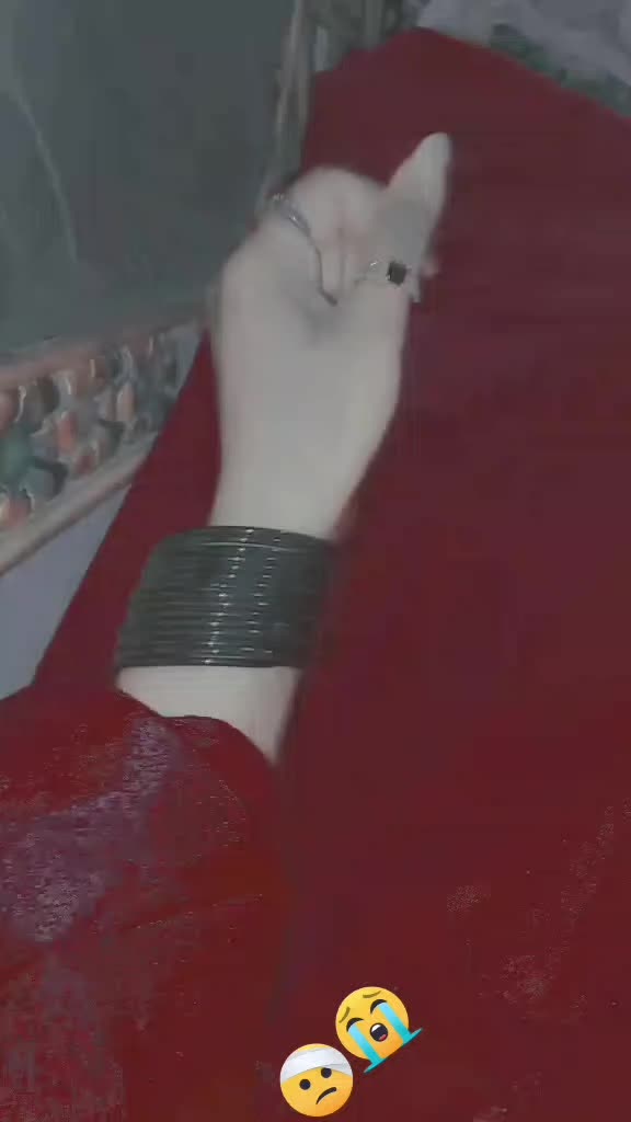 @geodilkipari