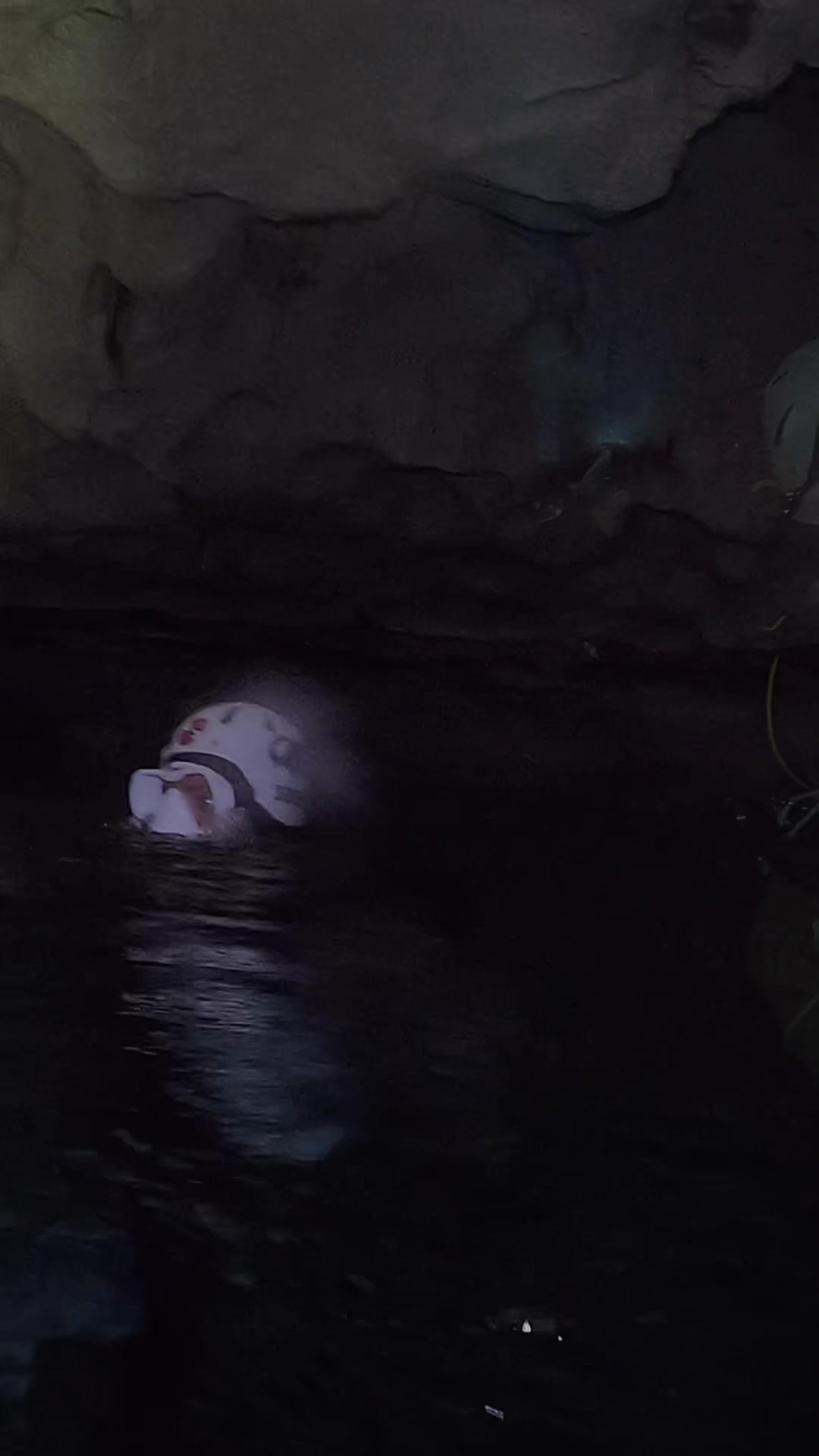@Dominican Divers