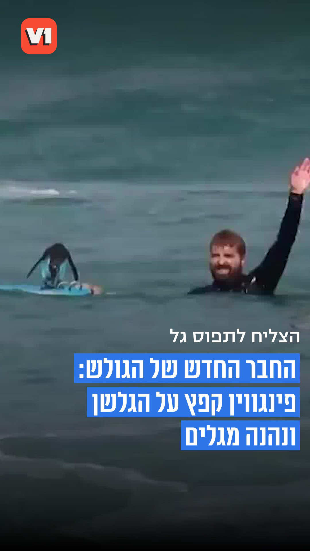@V1 israel