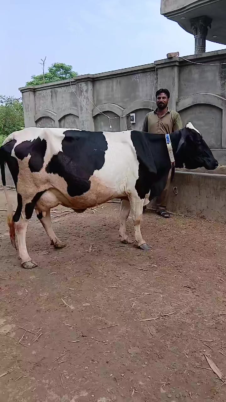 @Farming and Business Ideas