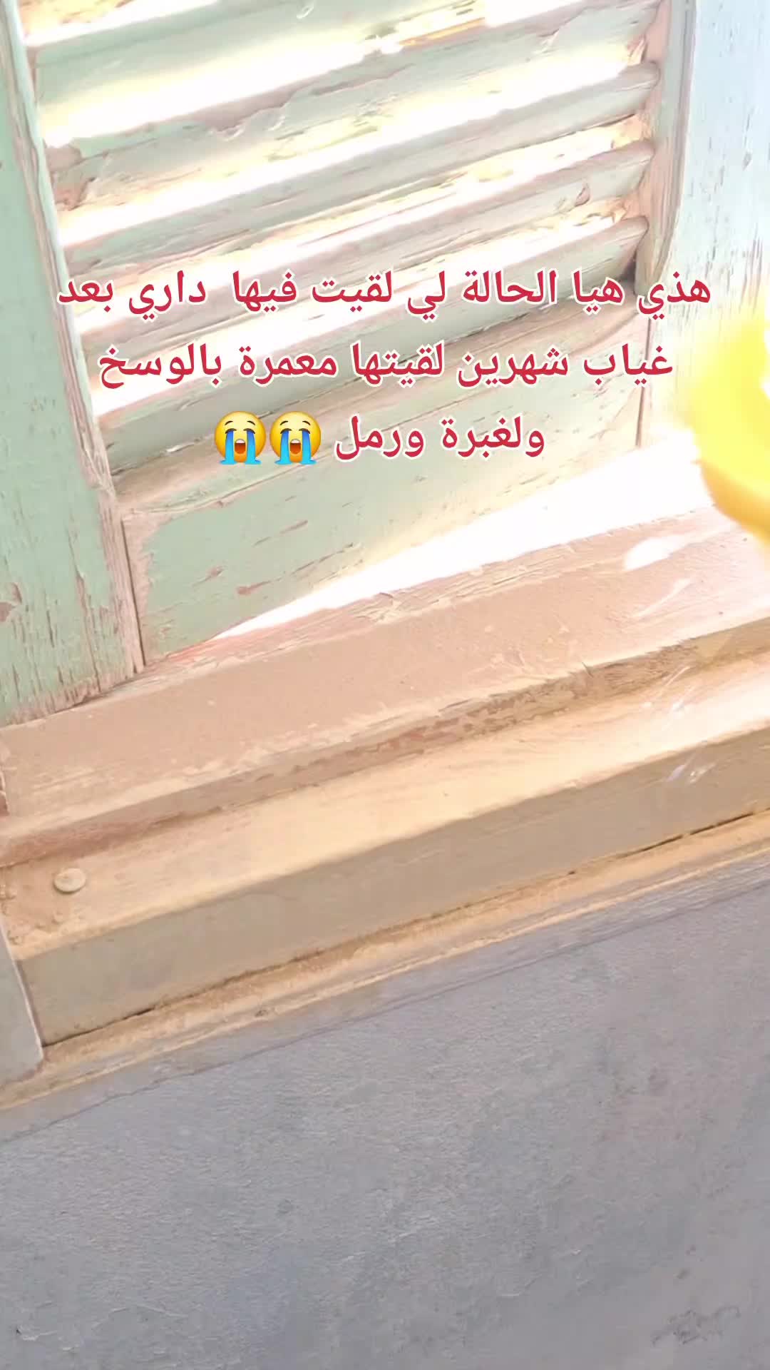 @๐๐โฅ๐ _๐
๐๐ข๐ก๐๐๐
