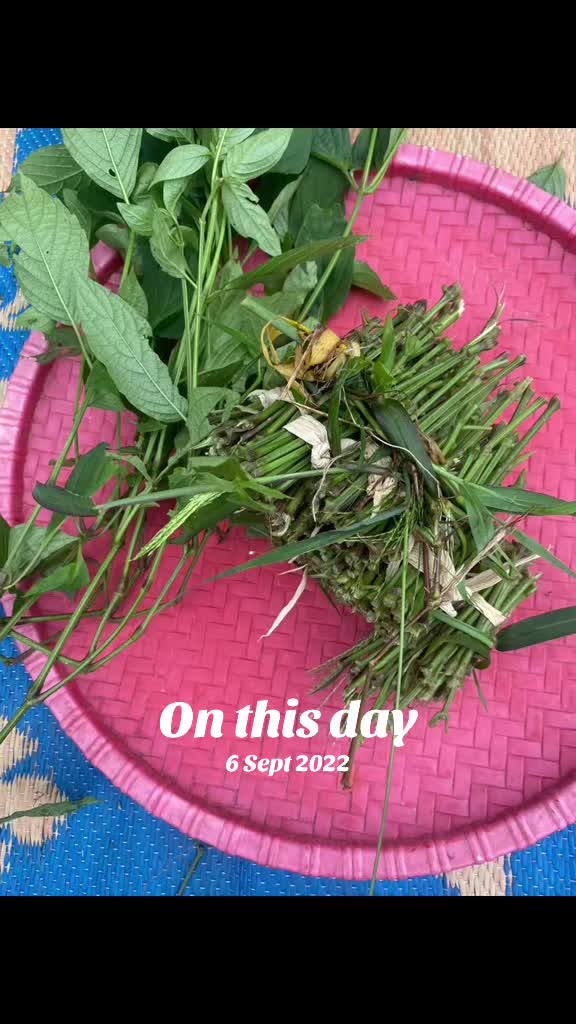 @Bishnu Thapa🇳🇵🇬🇧🇬🇧🇬🇧