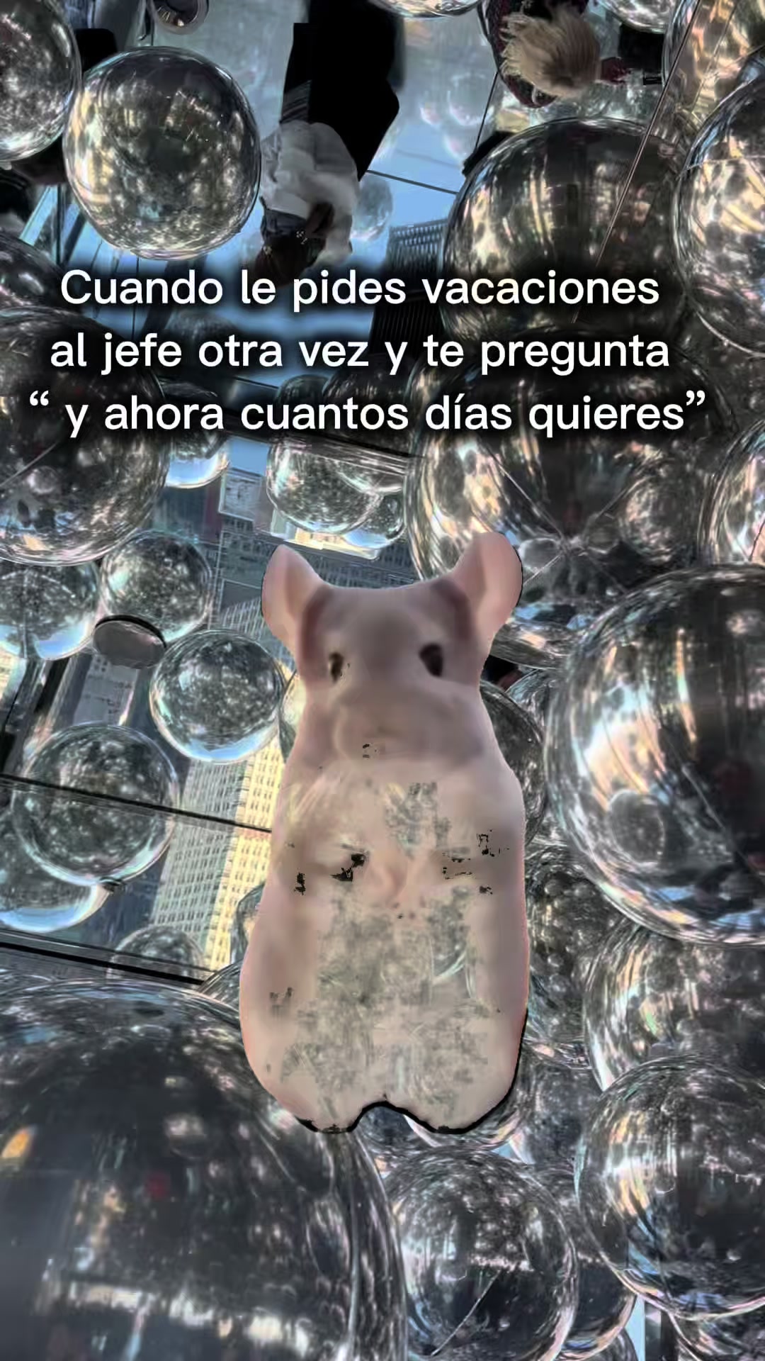 @Oscar Monta&ntilde;o