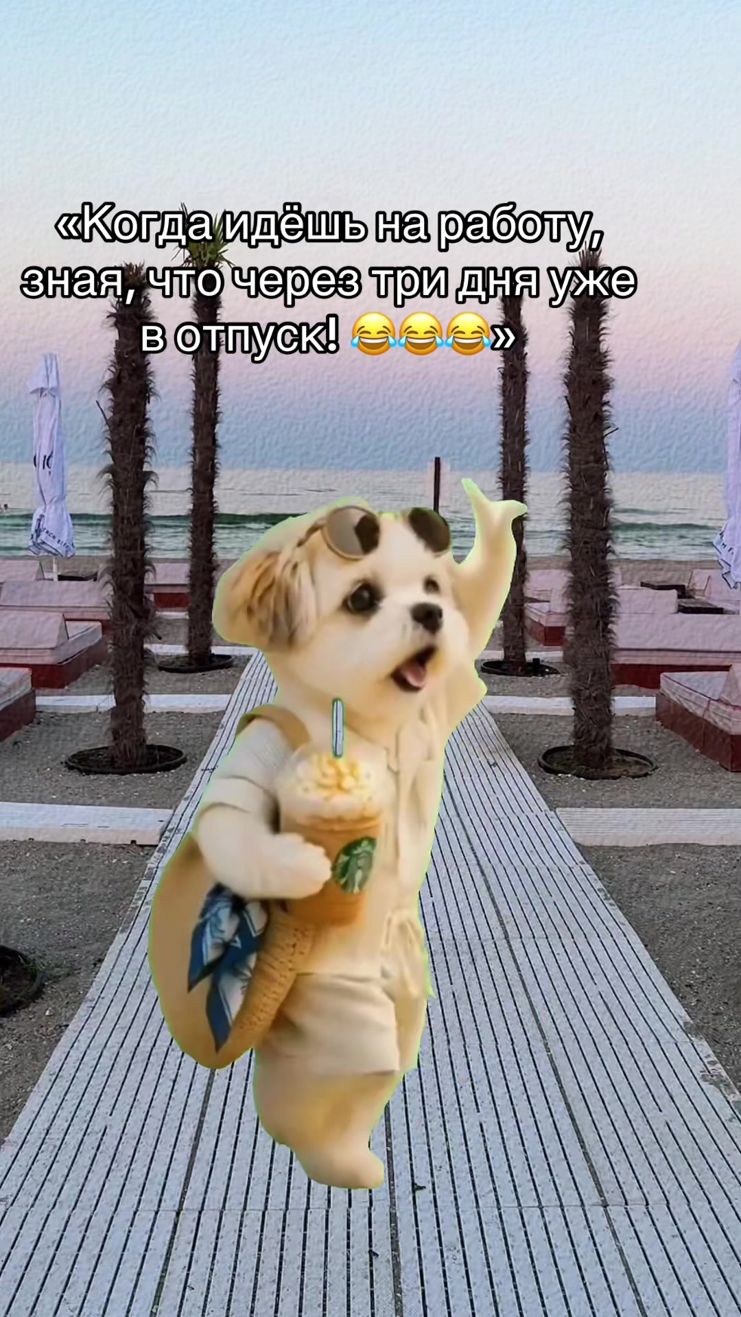 @𝕋𝕒𝕟𝕪𝕒 𝕂𝕠𝕥𝕤𝕚𝕦𝕓𝕒