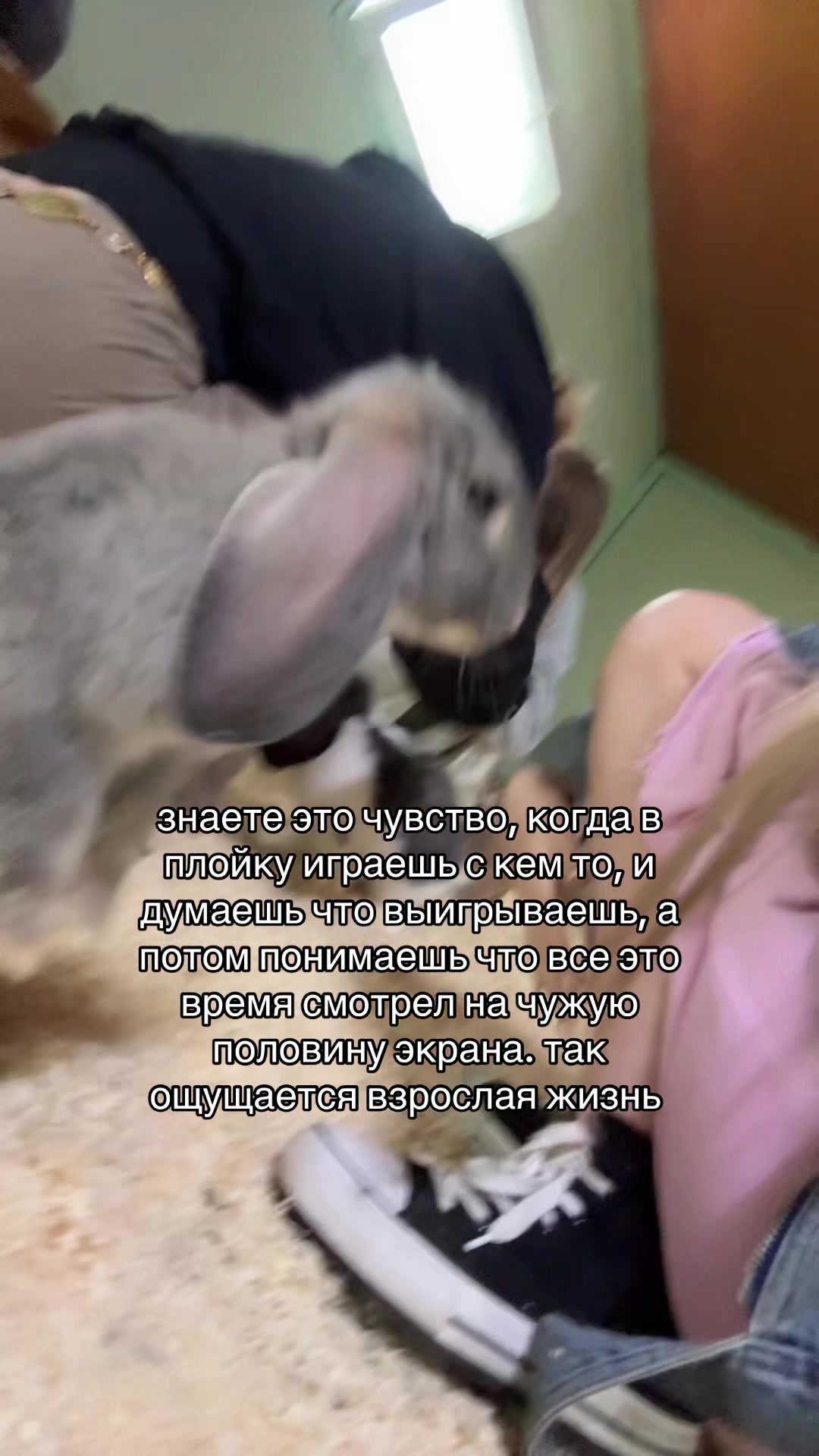 @inst: wlublena