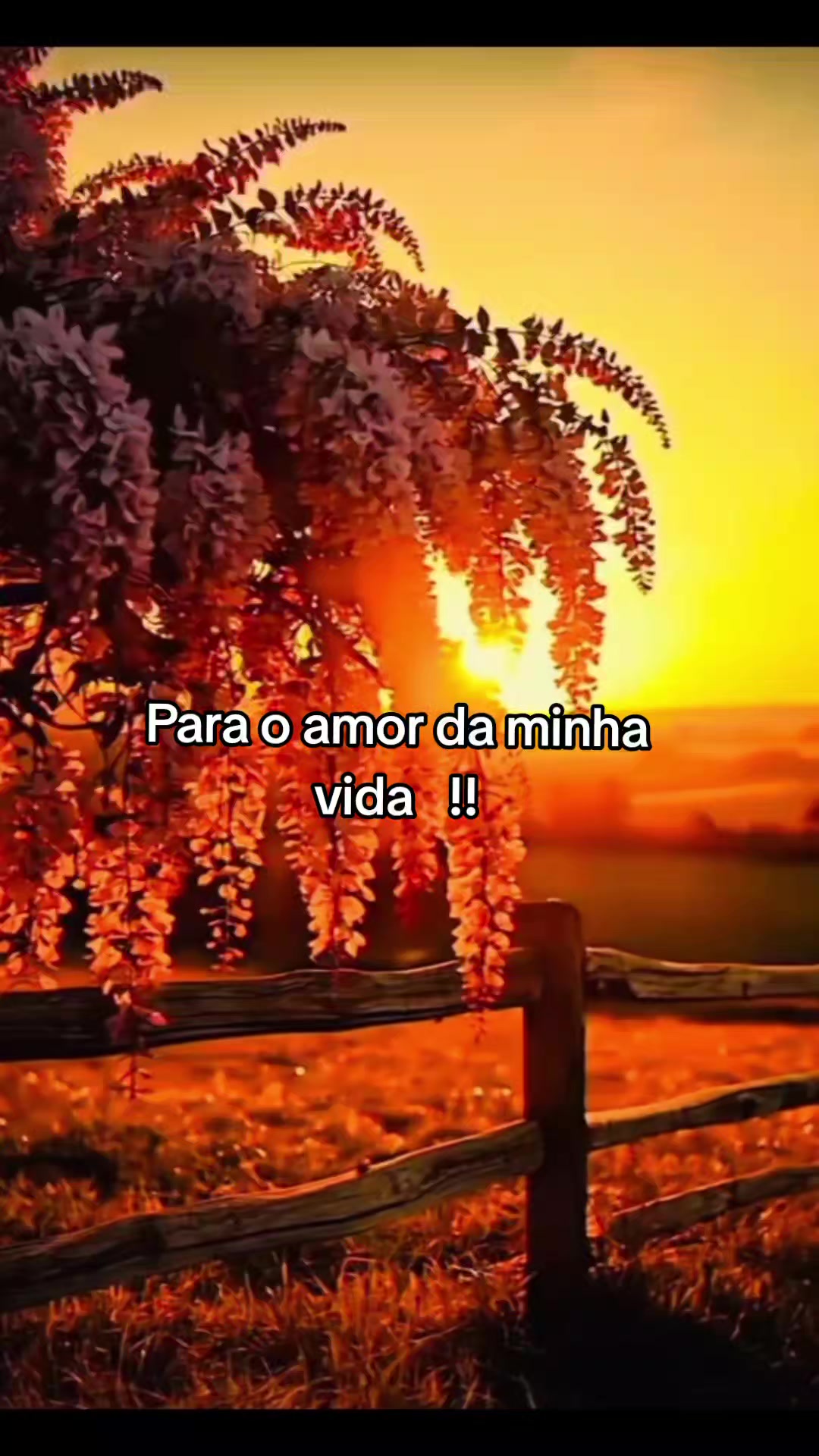 @Elson @ motivação "