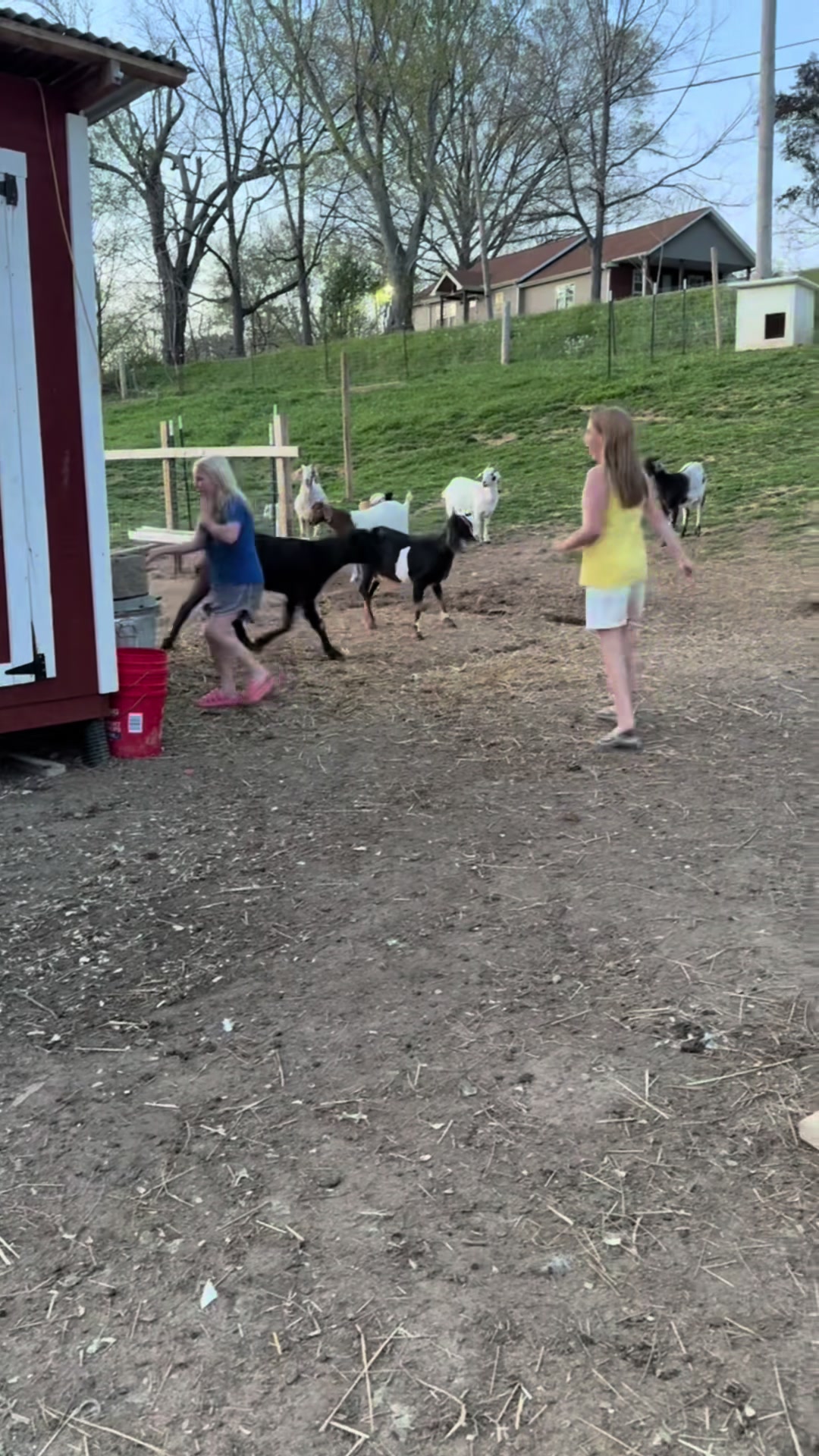 @LittleAcres2024
