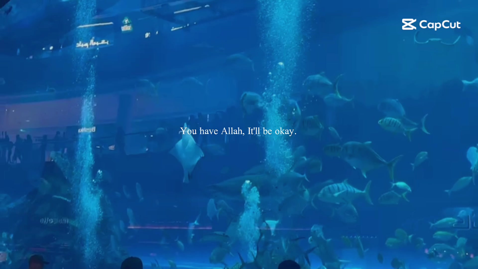 @﷽