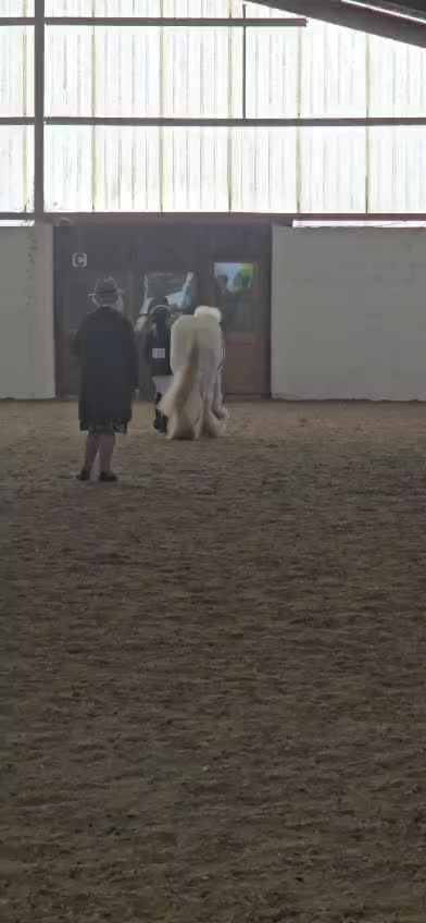 @🐎🩷Alexa and bobby 🩷🐴