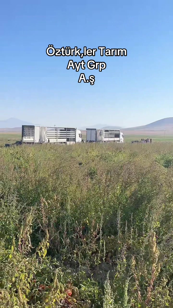 @Rıdvan Öztürk