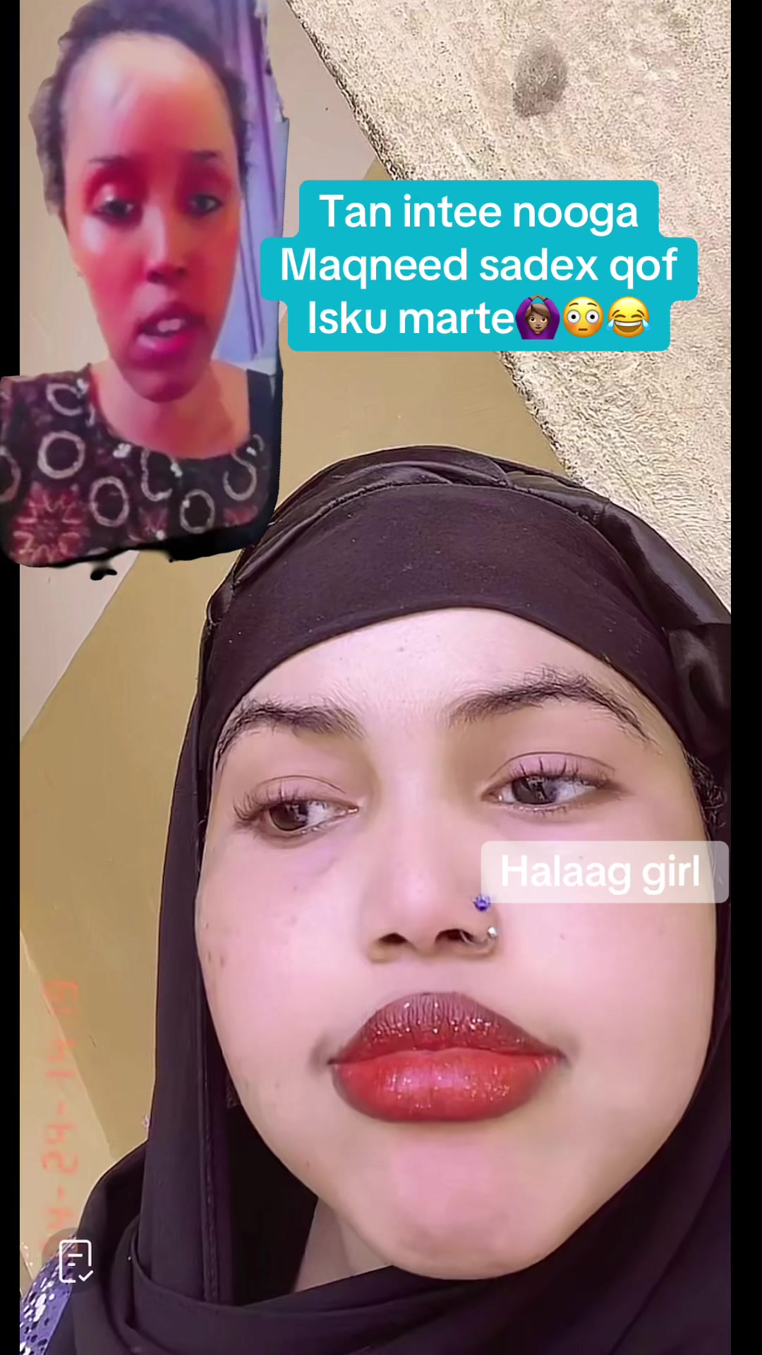 @Halaag girl 🦂📺