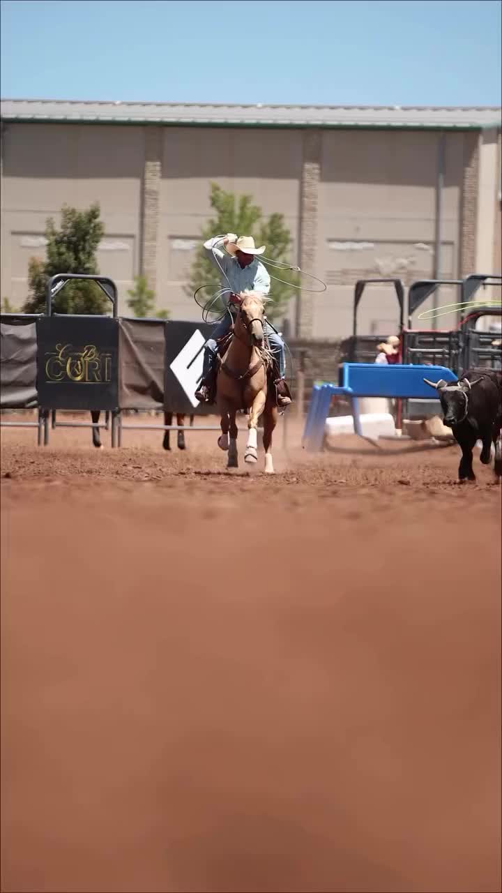 @Roping Dummies Texas