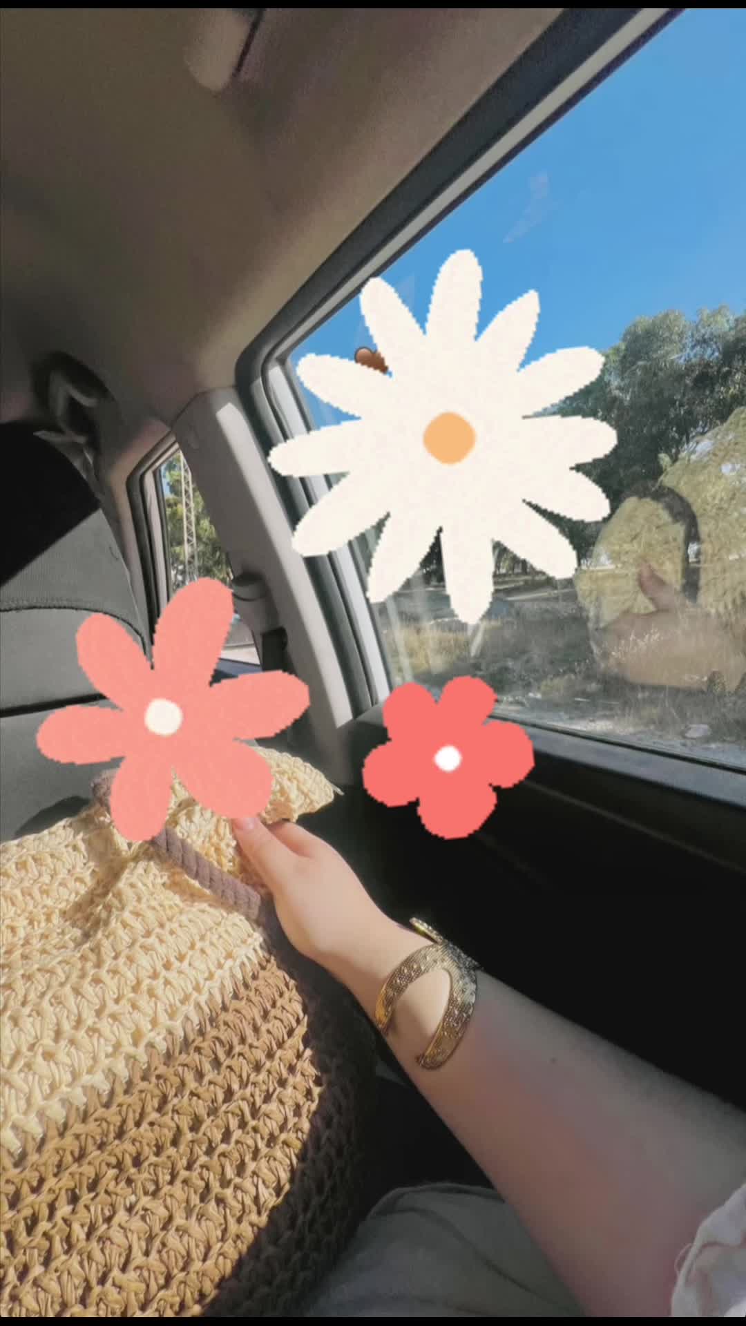 @₍^. .^₎⟆ LĞÄTÄ ≽ܫ≼