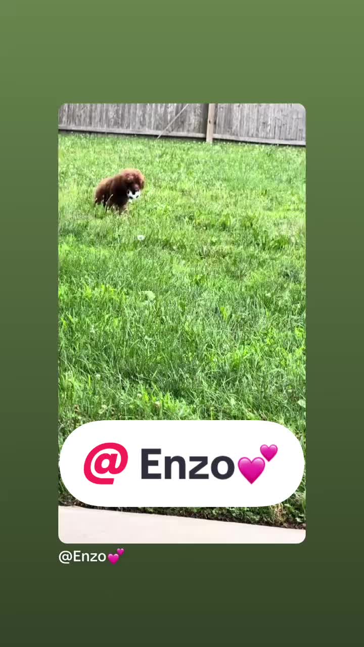 @🫀🥥La Coco ™️🥥🫀