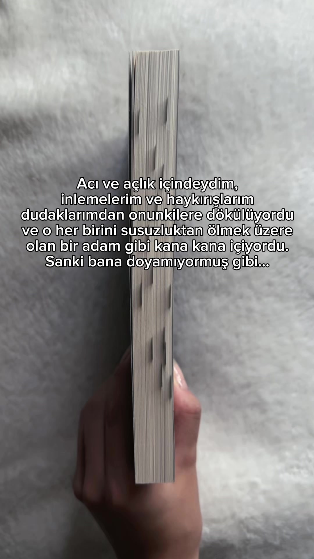 @bittenbyspicybooks