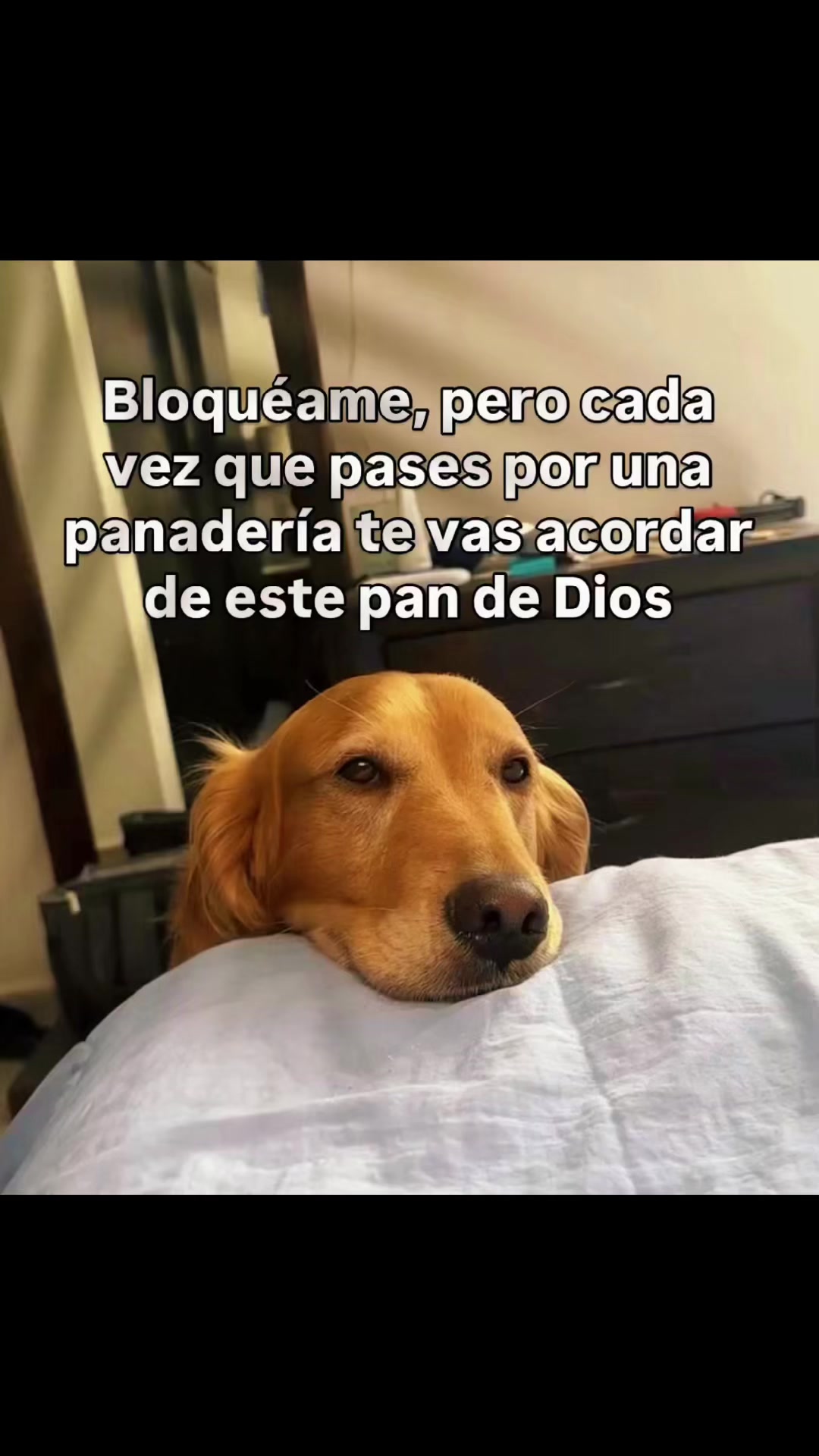@Mari VerSa
