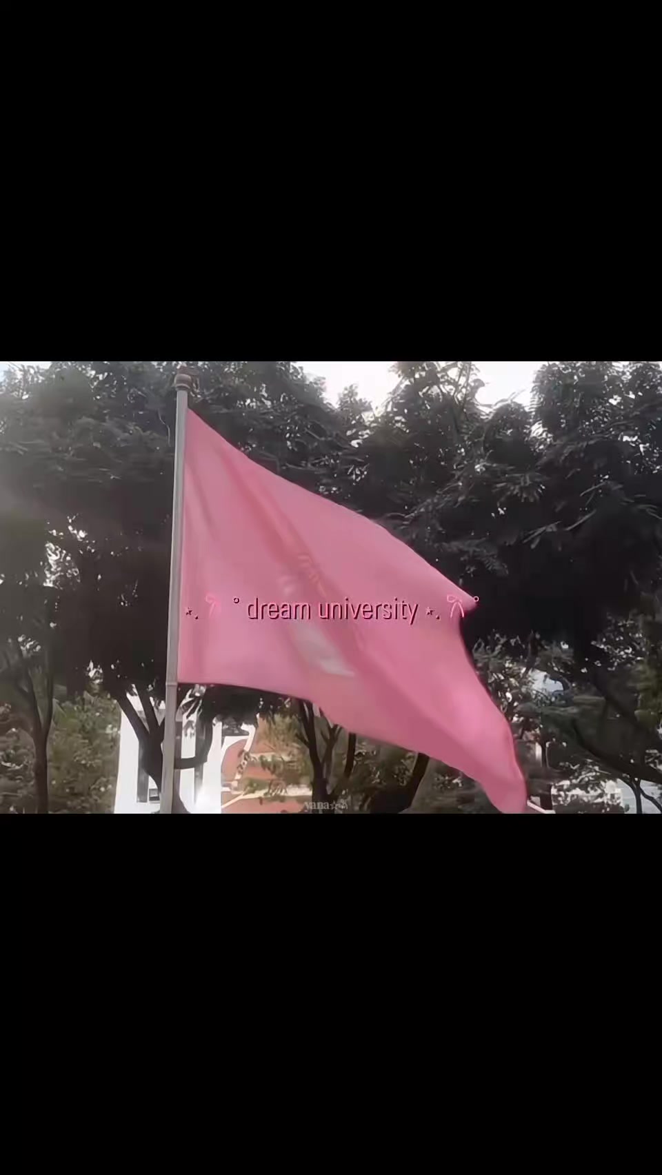 @yanaxie𐙚