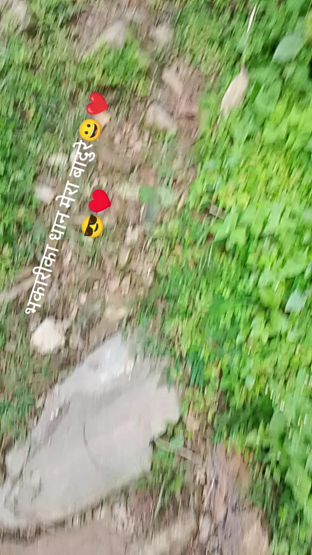 @Dipa Katel