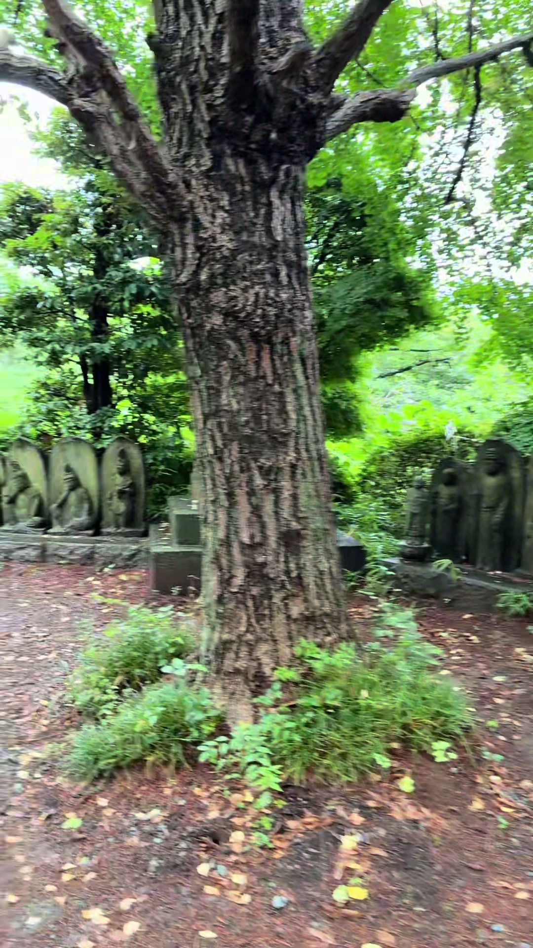 @Pamechan0121🇵🇭🇯🇵