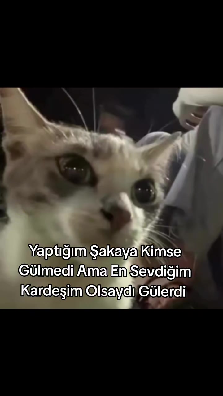 @Furkann27