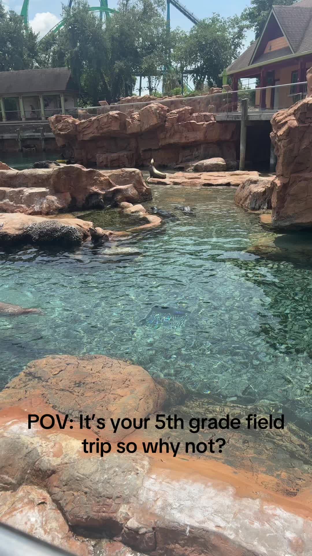 @Kelli
