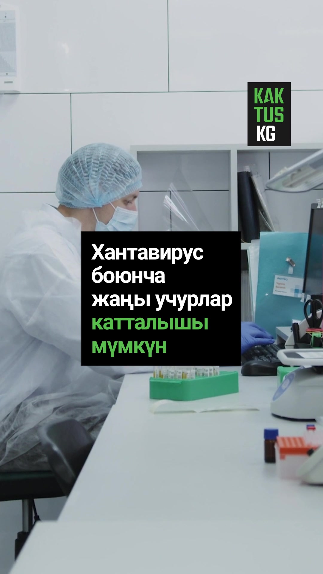 @Kaktus KG
