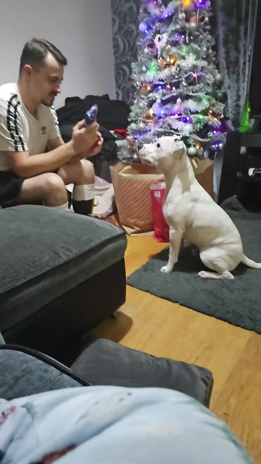 @Dexter's mum 🐾