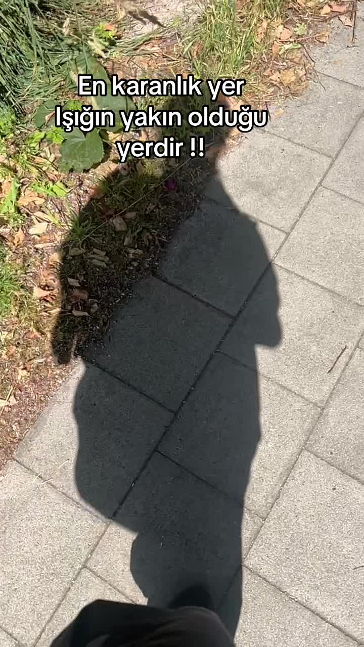 @Yasmin