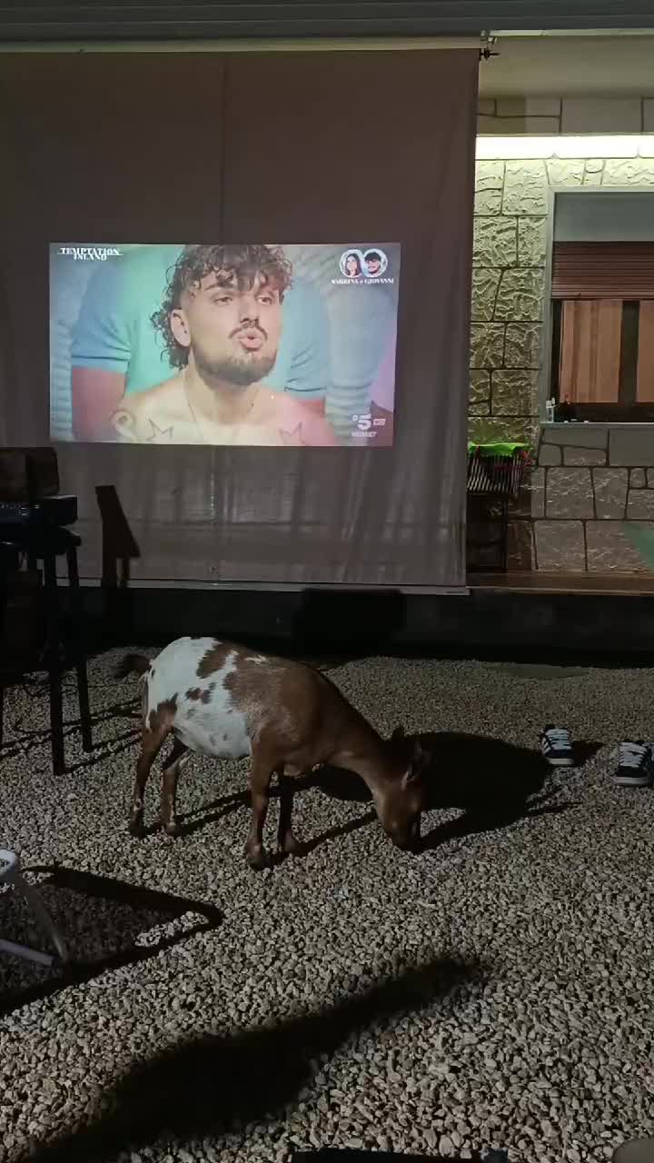 @veronica86