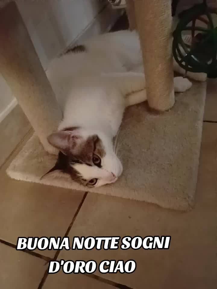 @Francesca Sciurti