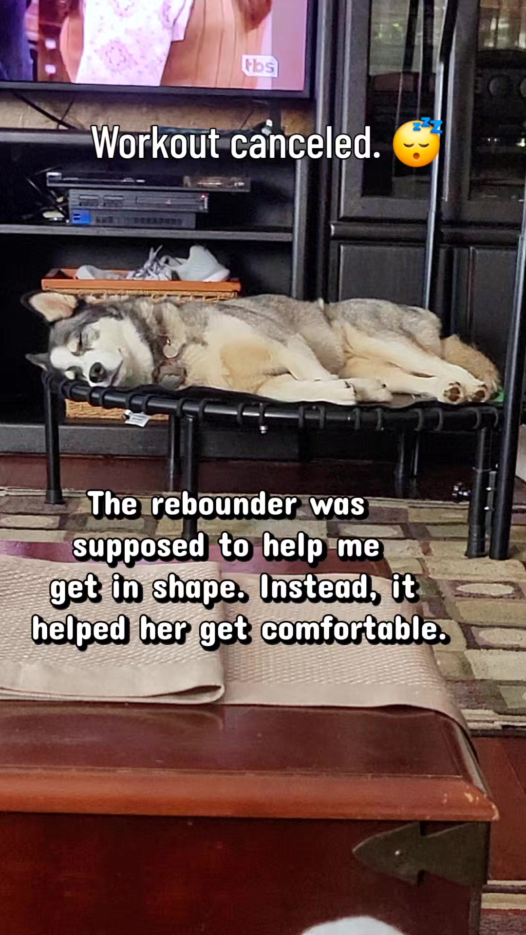 @the Hussey Husky ❌️