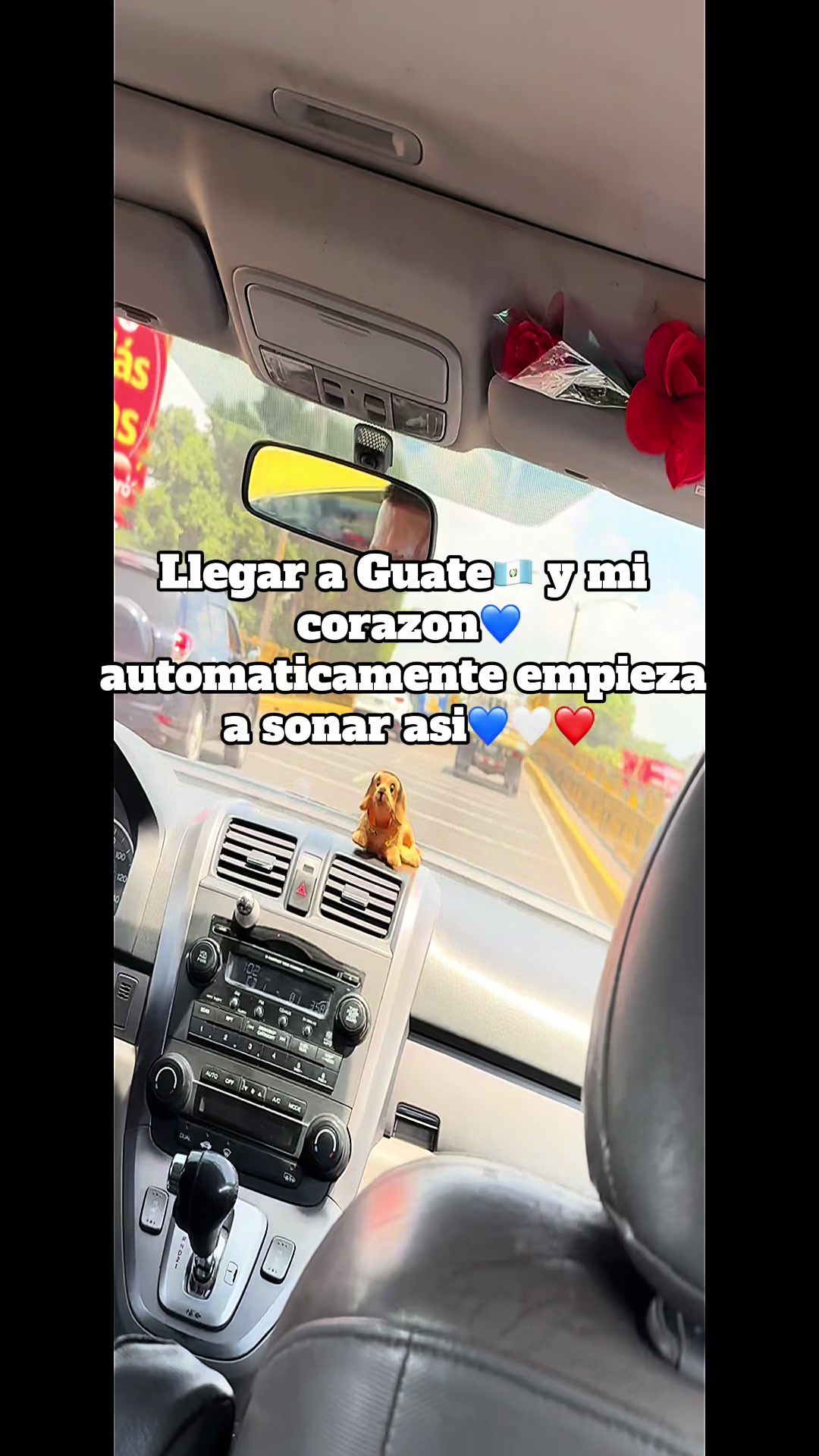 @Gaby Perez