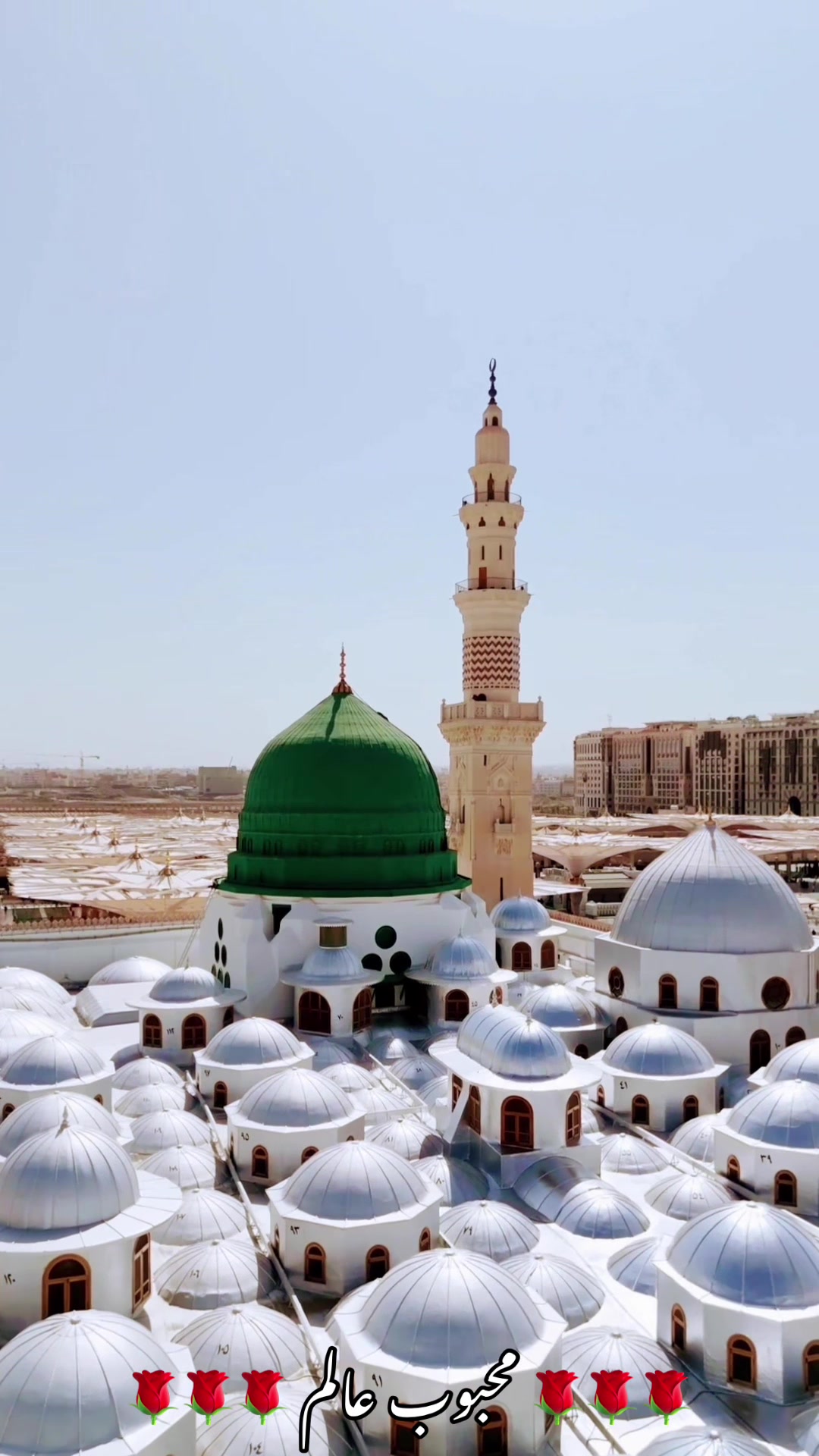 @محبوب عالم