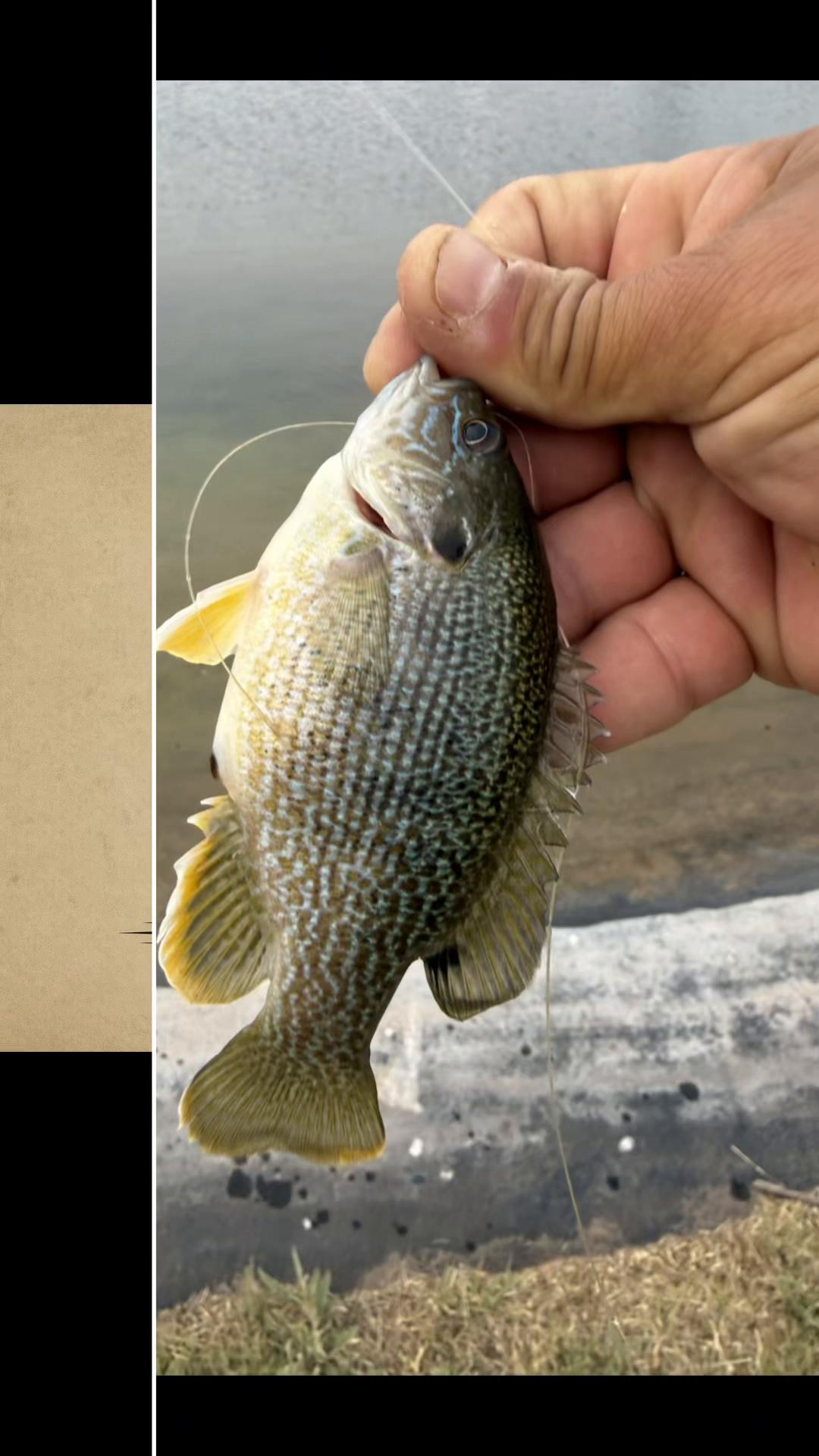@Oilfield Angler Fishing