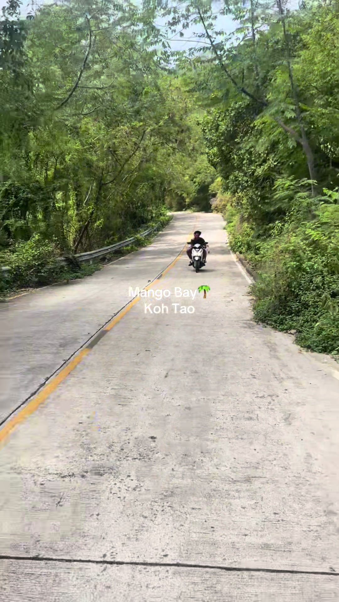 @𝐀𝐥𝐢𝐧𝐚