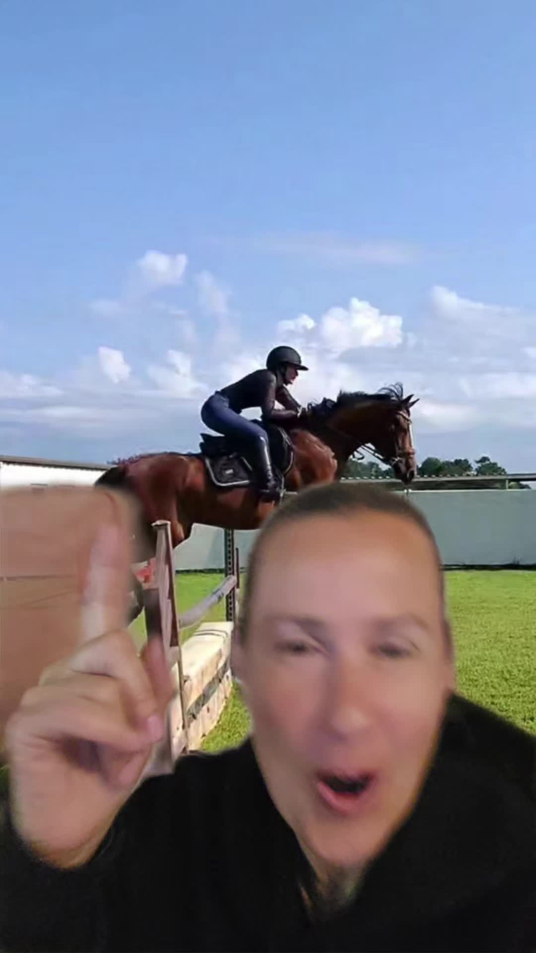 @DressageHub