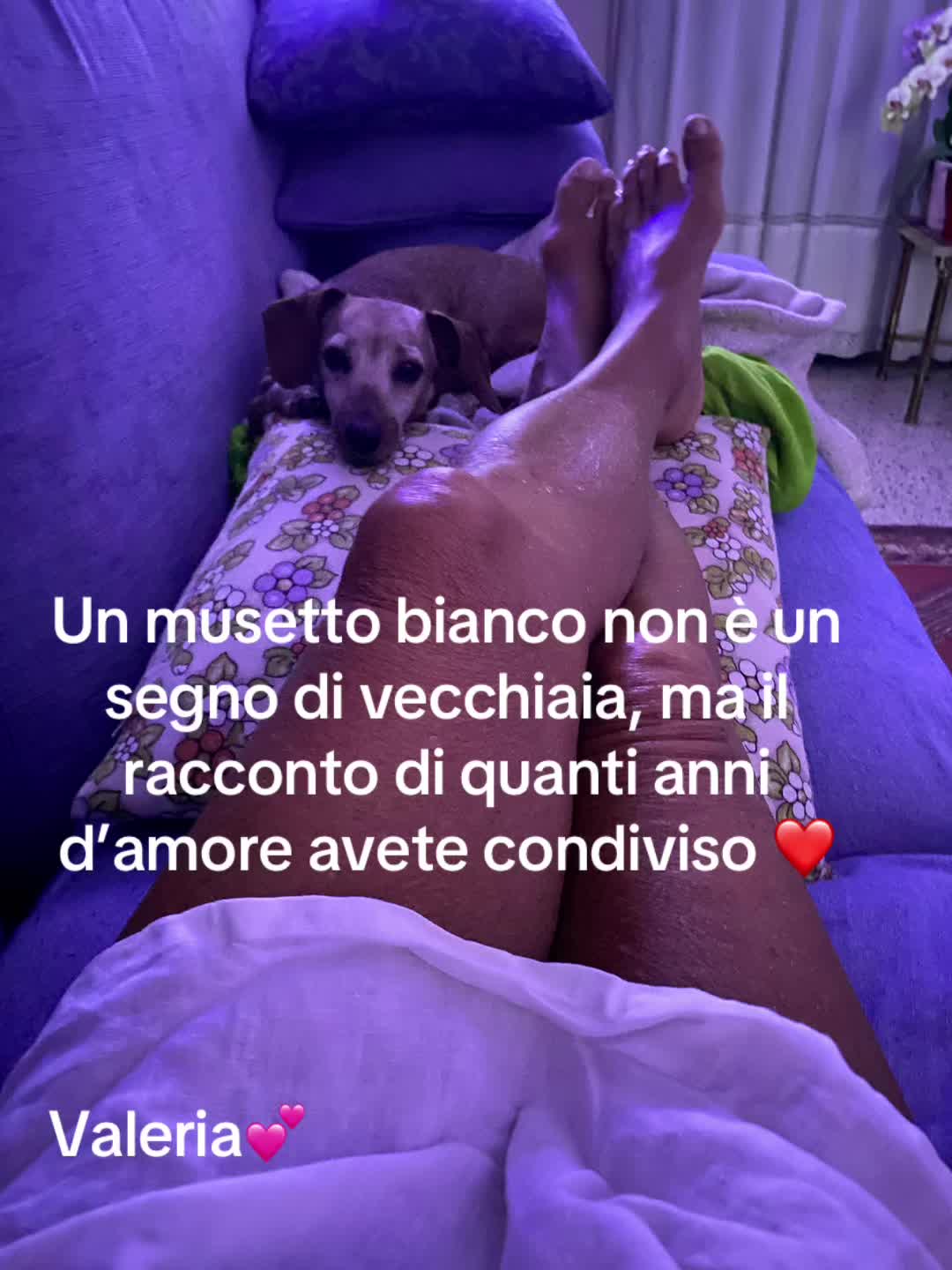 @valeriaevangelis840