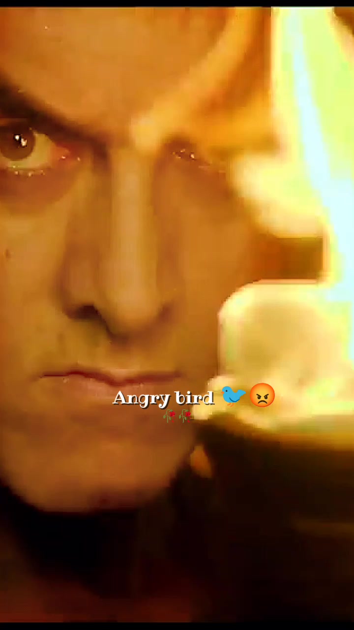 @💫𝖆𝖓𝖌𝖗𝖞 𝖇𝖎𝖗𝖉𝖘💫💥