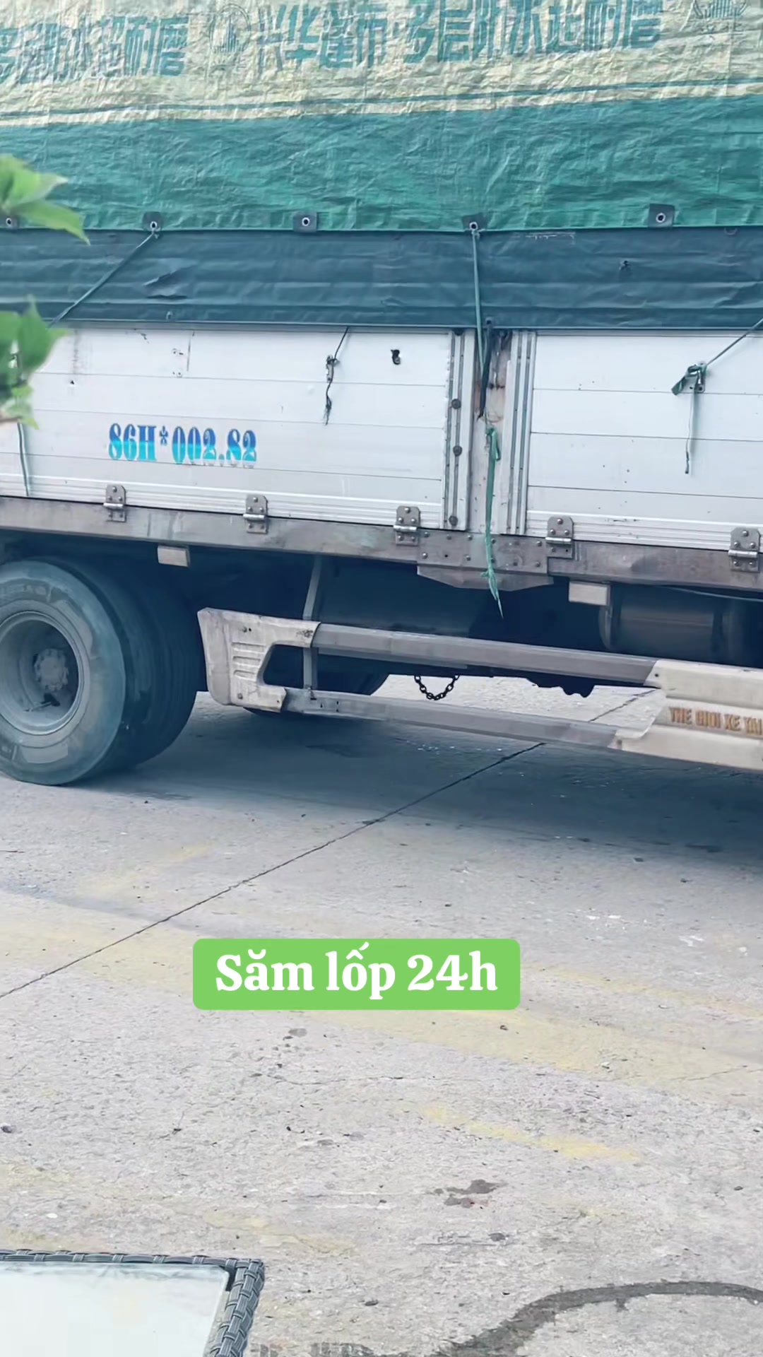 @Cửu Long Thiên