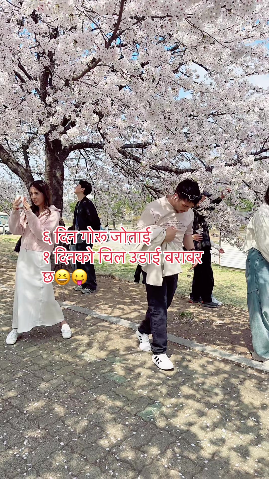 @Rigesh 🧘💫