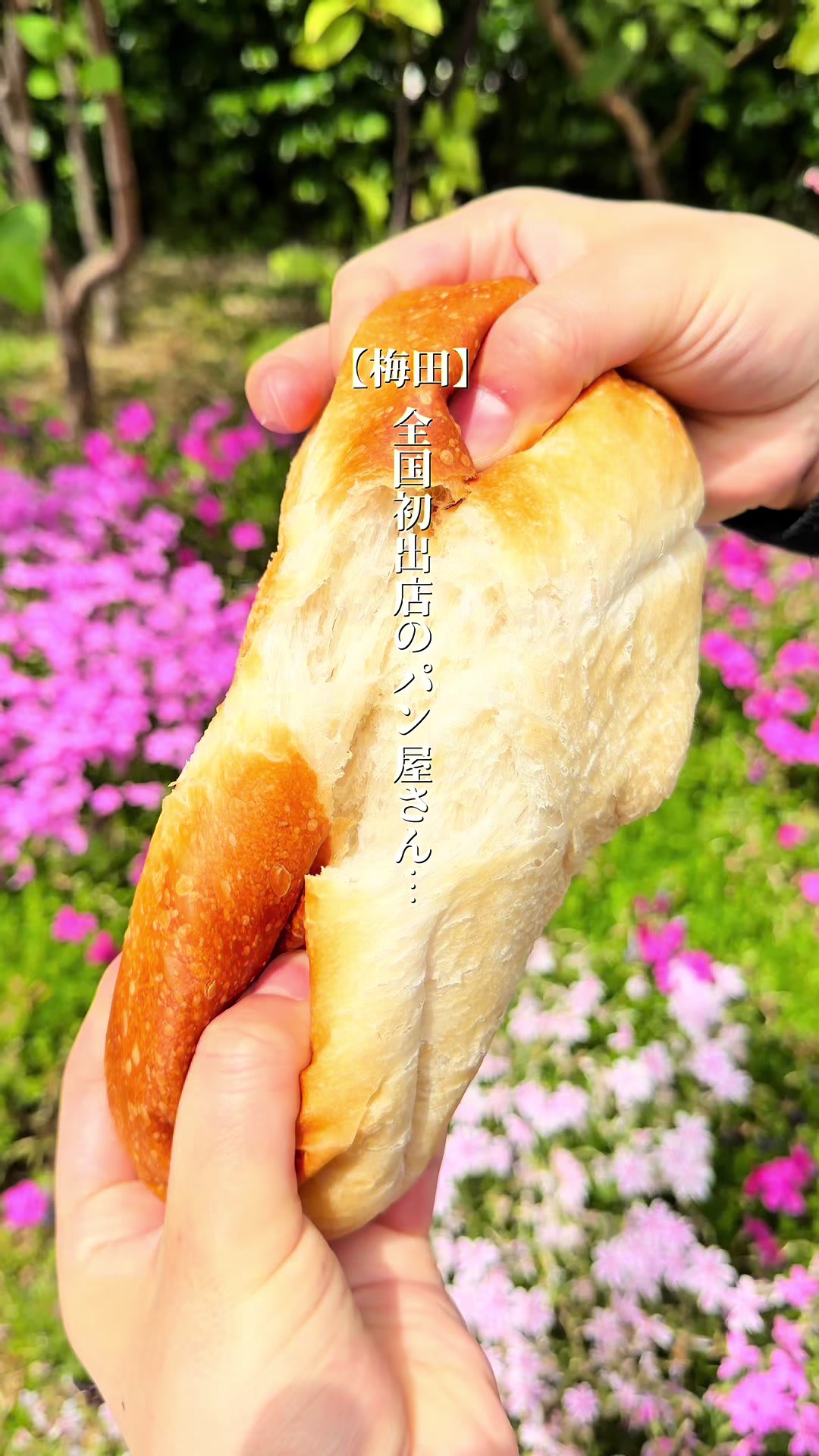@梅田グルメ【公式】 | ランチ・ディナー
