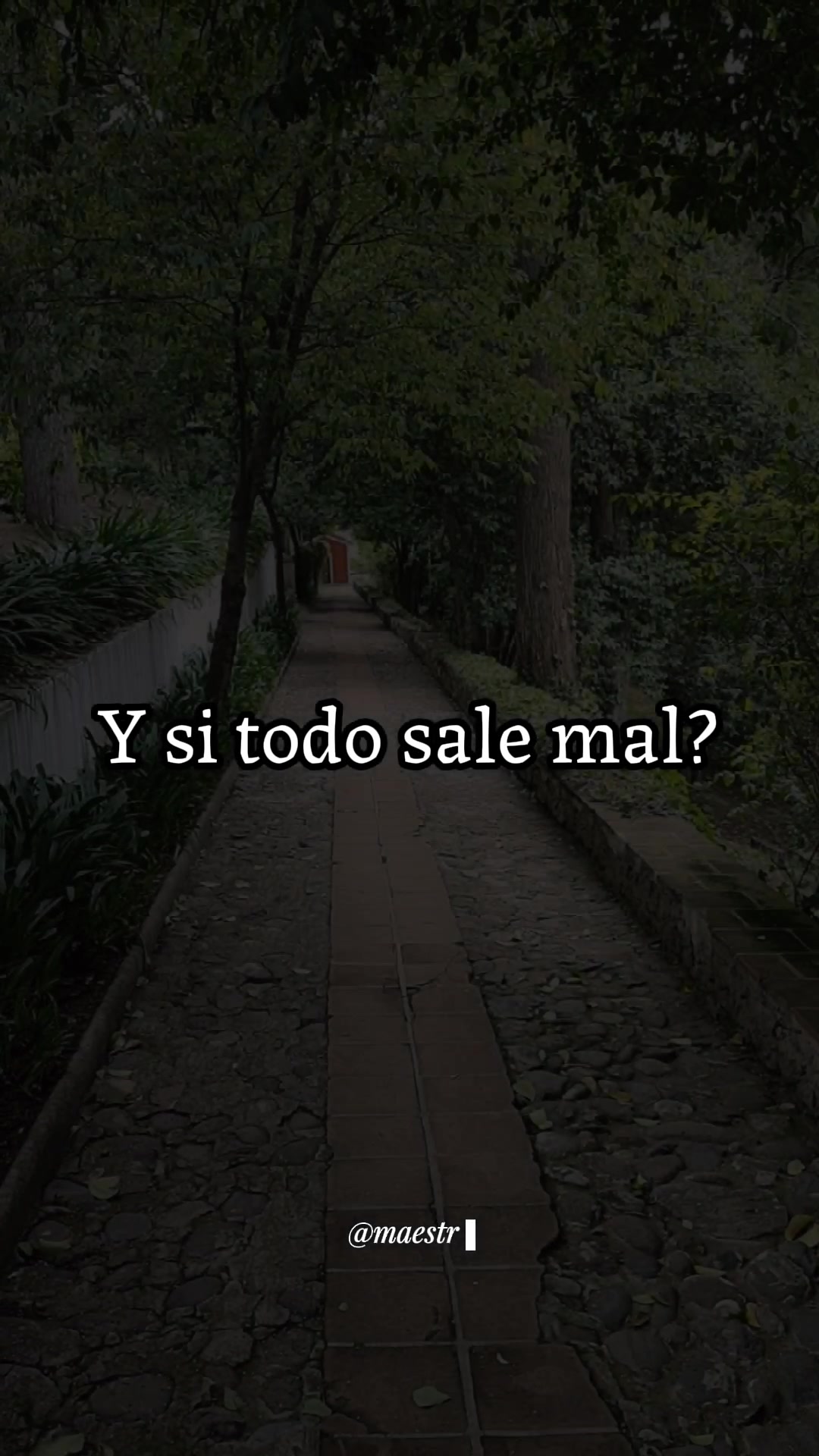 @maestrayos1