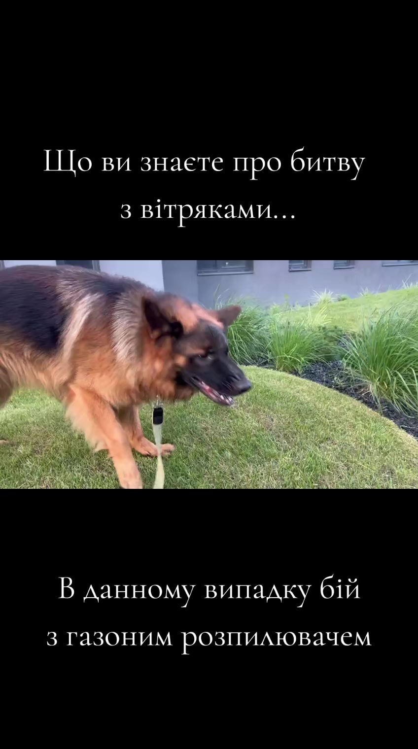 @МАТЬ ДРАКОНІВ🤣
