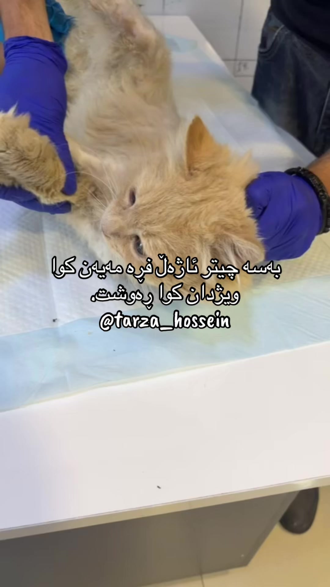 @تەرزە حسێن