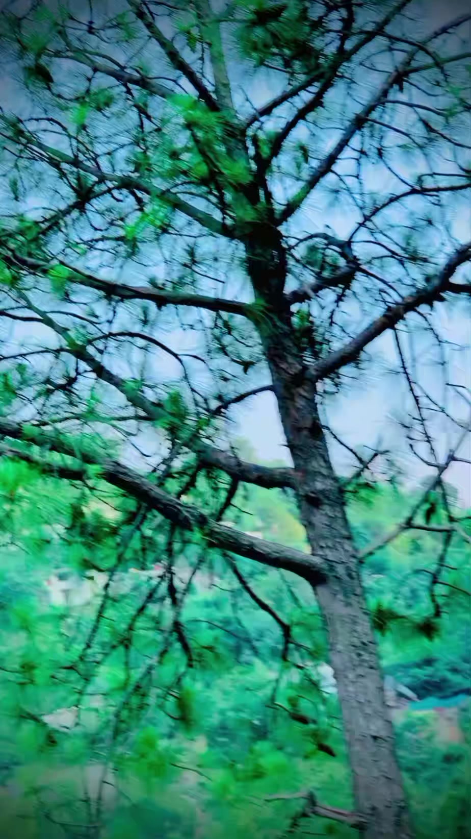 @🦋آفتاب یوسفزئی🦋333