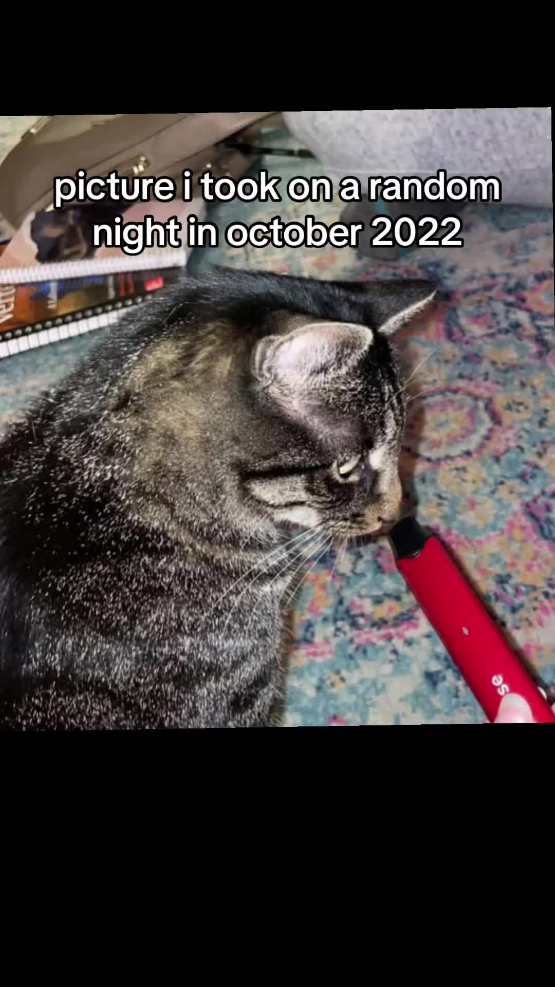 @dev ♡