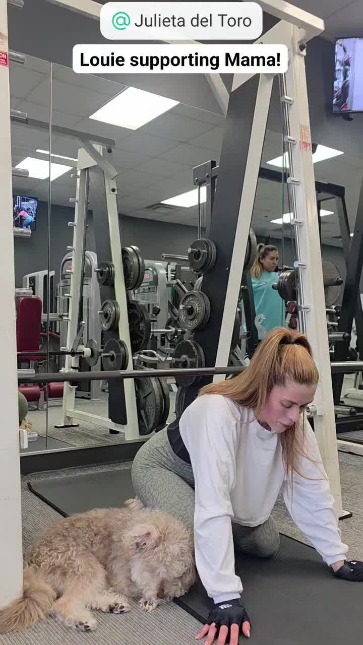 @Top Trainer Real Trainer Real