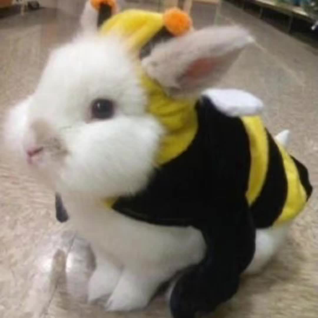 @๐ฟ๐๐๐๐๐๐๐๐๐๐ ๐ฏ .แโธโธ