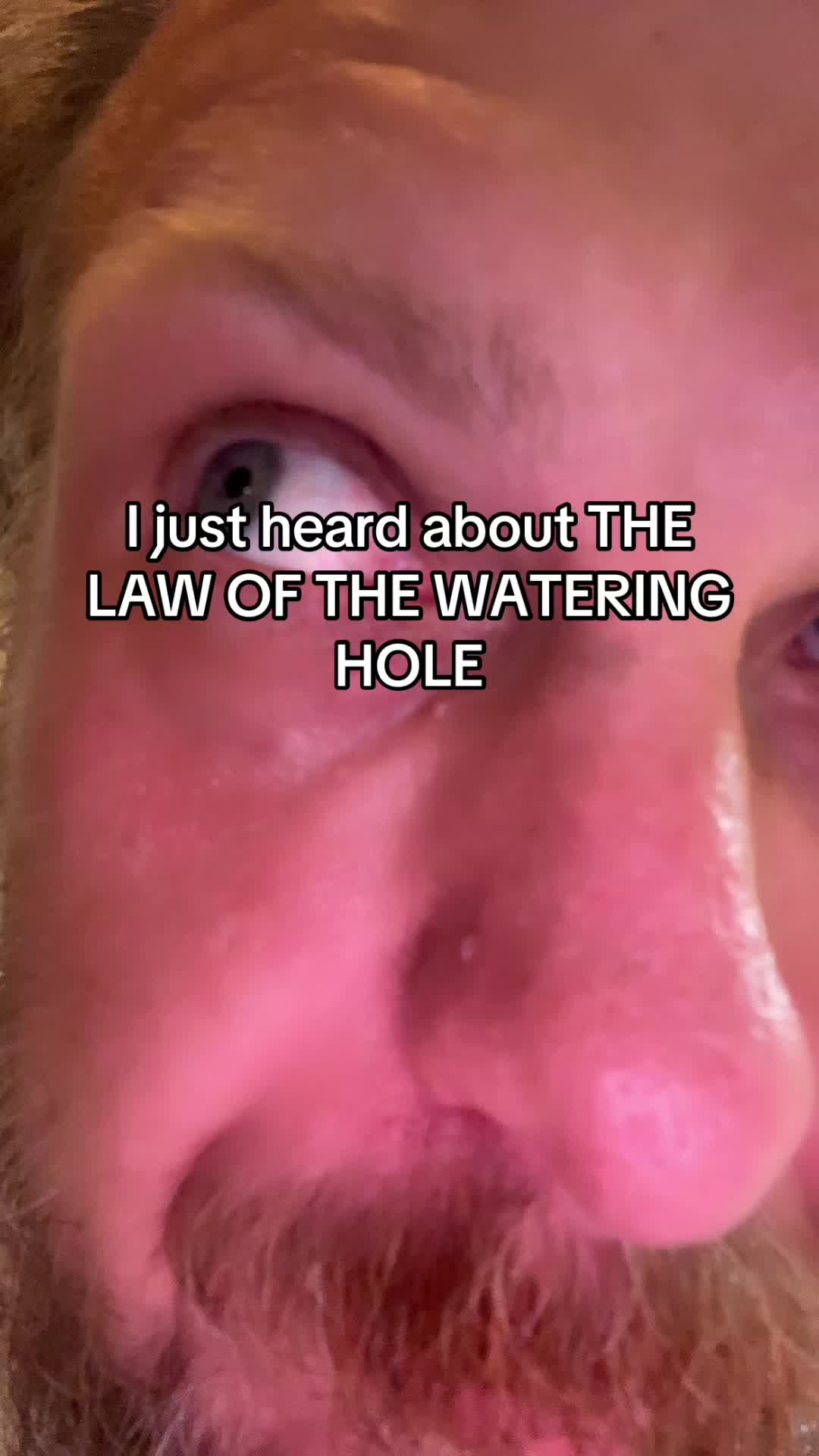 @KoolBeanzes