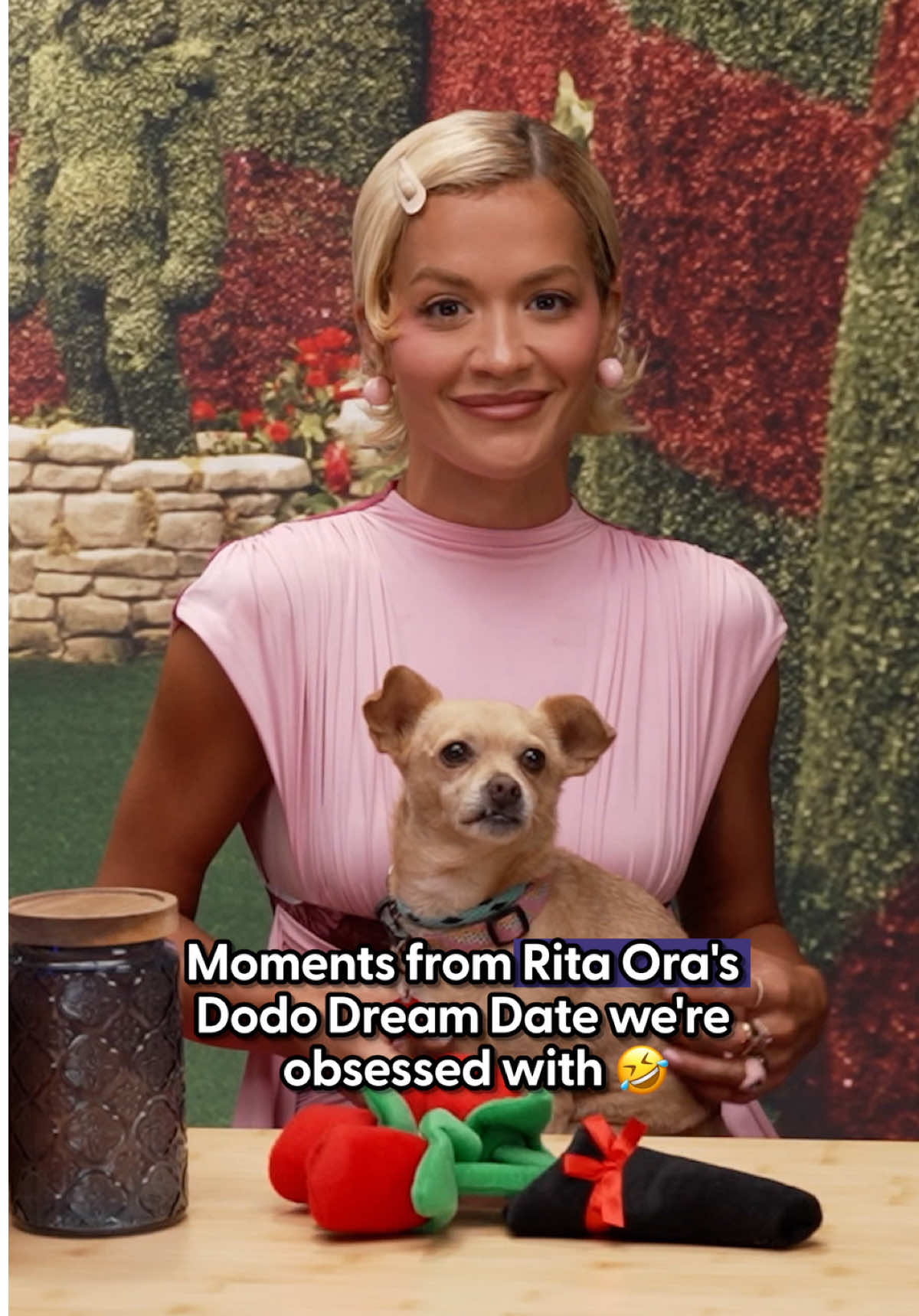 @The Dodo